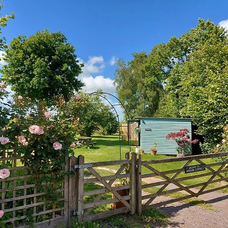Wadhurst Hopgarden Glamping Luxury Shepherds Huts מראה חיצוני תמונה