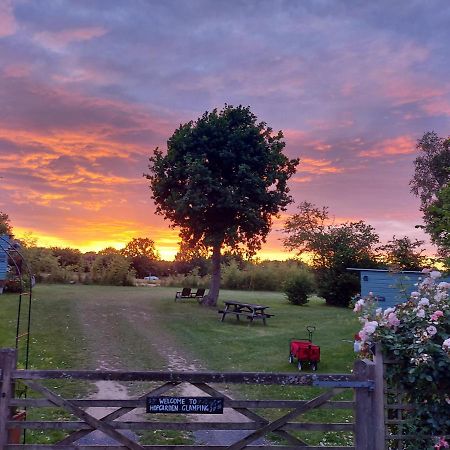 Wadhurst Hopgarden Glamping Luxury Shepherds Huts מראה חיצוני תמונה
