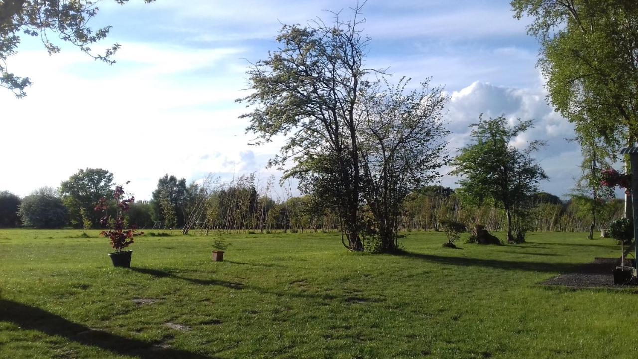 Wadhurst Hopgarden Glamping Luxury Shepherds Huts מראה חיצוני תמונה