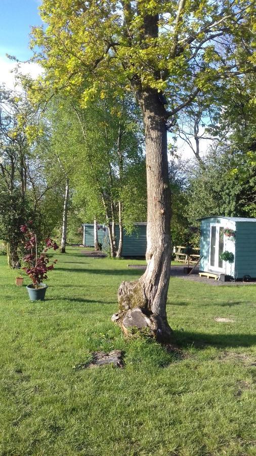 Wadhurst Hopgarden Glamping Luxury Shepherds Huts מראה חיצוני תמונה