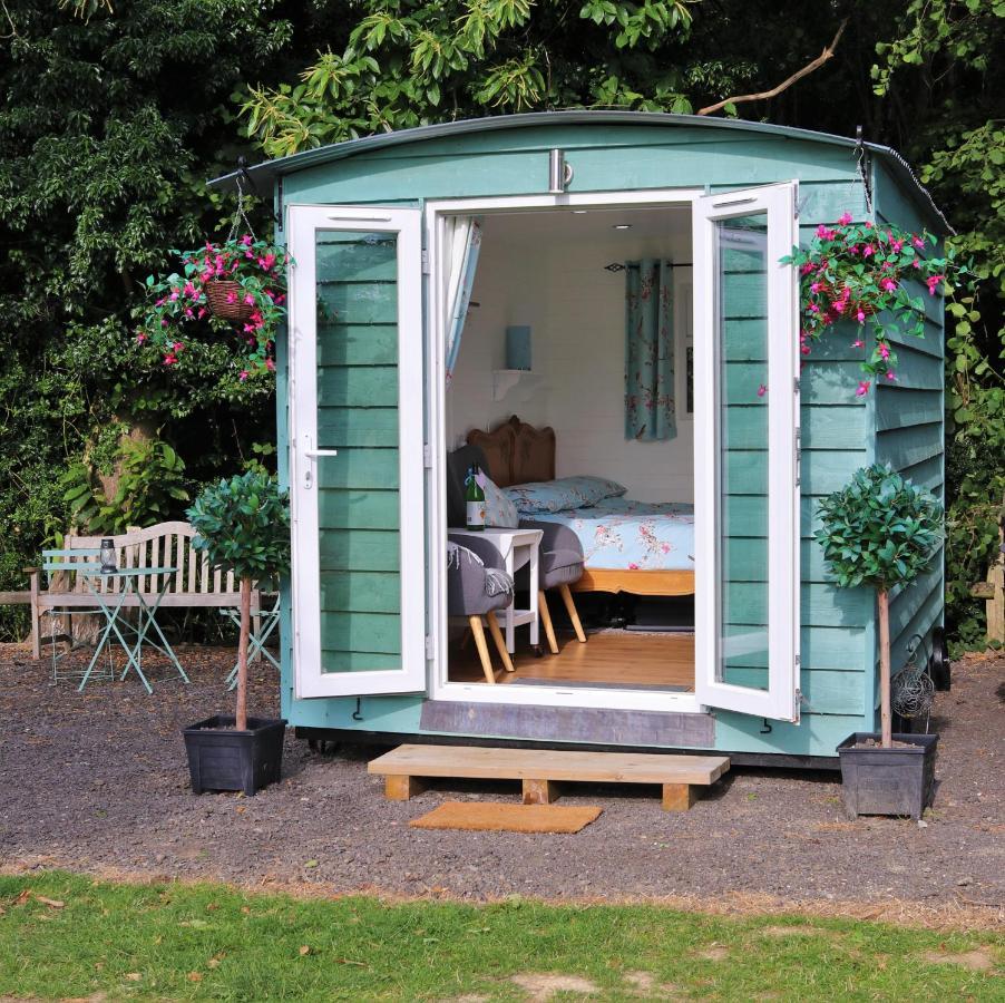 Wadhurst Hopgarden Glamping Luxury Shepherds Huts מראה חיצוני תמונה