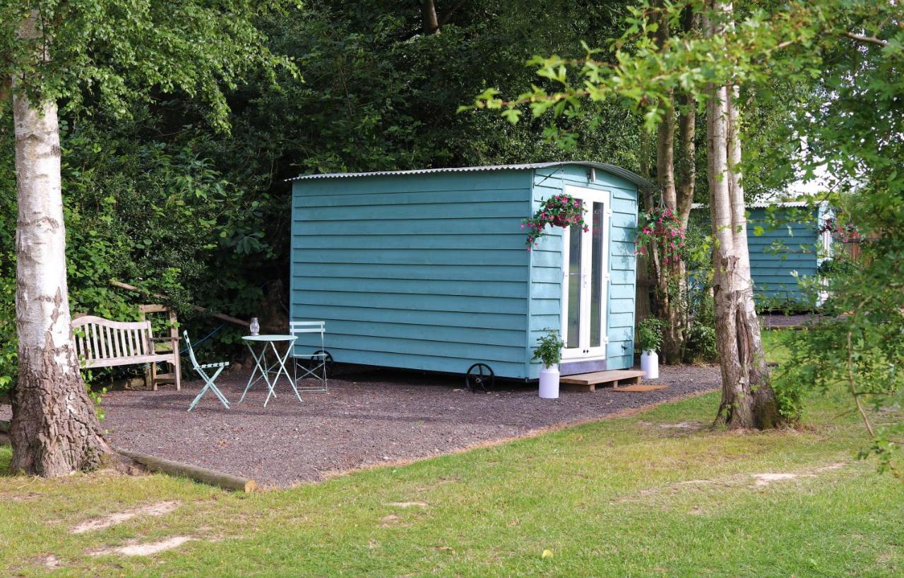 Wadhurst Hopgarden Glamping Luxury Shepherds Huts מראה חיצוני תמונה