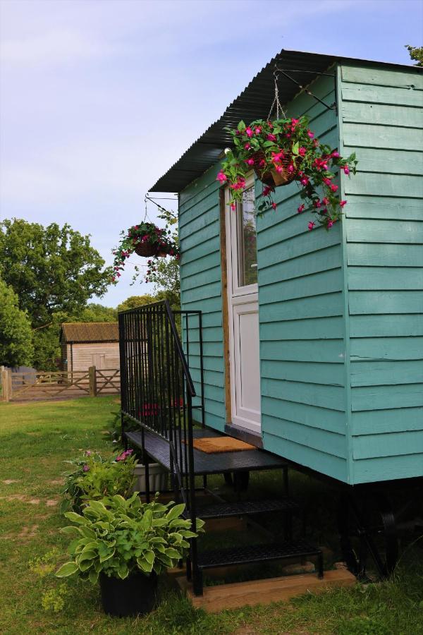 Wadhurst Hopgarden Glamping Luxury Shepherds Huts מראה חיצוני תמונה