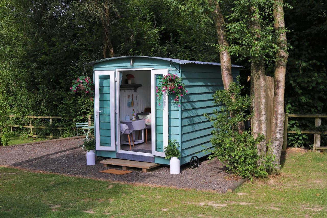 Wadhurst Hopgarden Glamping Luxury Shepherds Huts מראה חיצוני תמונה