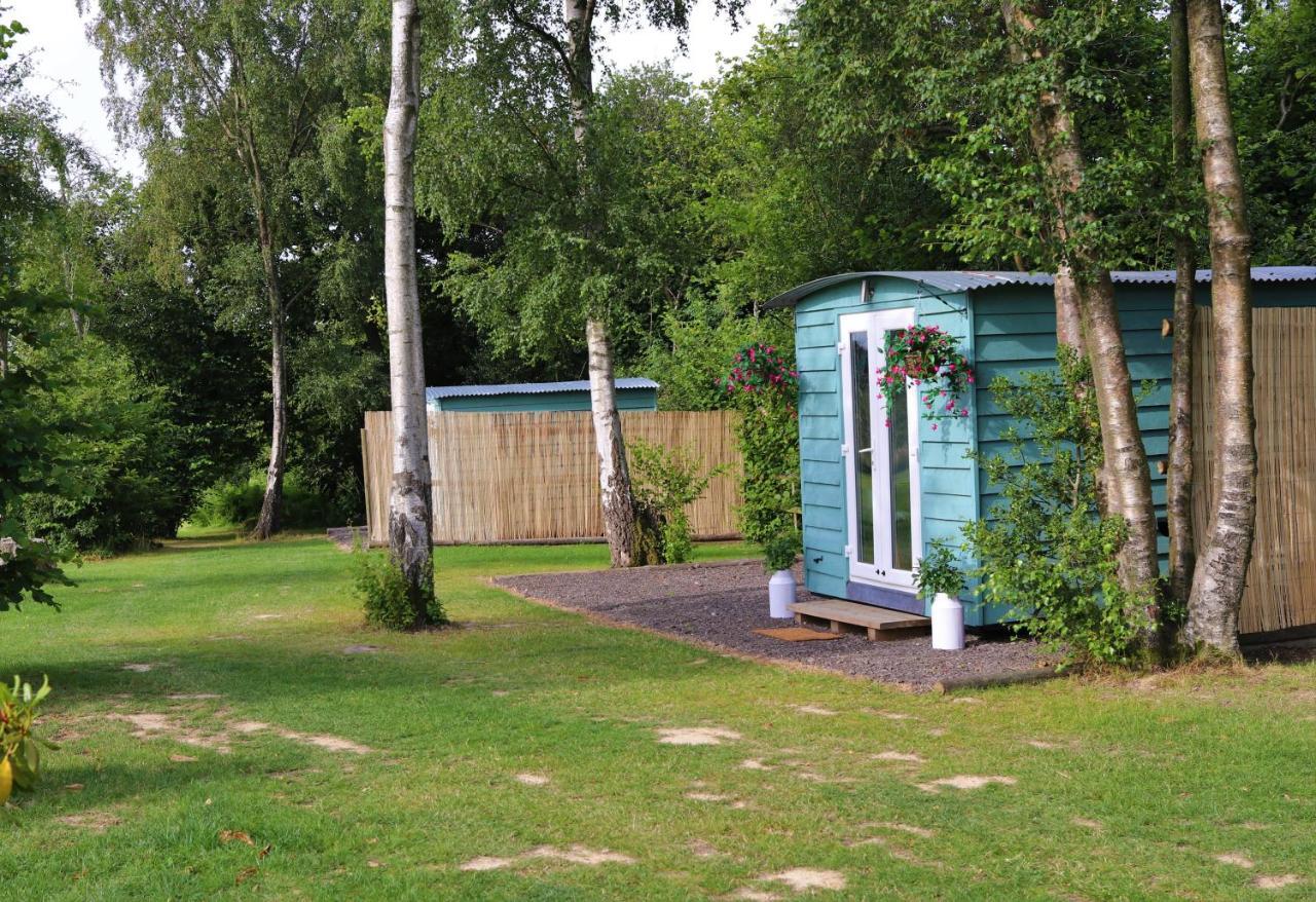 Wadhurst Hopgarden Glamping Luxury Shepherds Huts מראה חיצוני תמונה