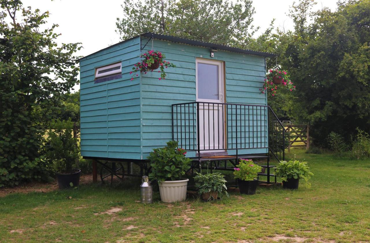 Wadhurst Hopgarden Glamping Luxury Shepherds Huts מראה חיצוני תמונה