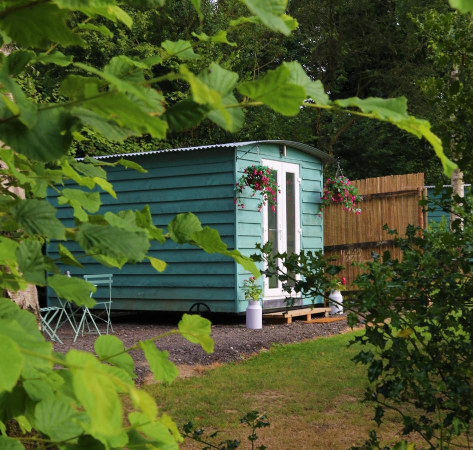 Wadhurst Hopgarden Glamping Luxury Shepherds Huts מראה חיצוני תמונה