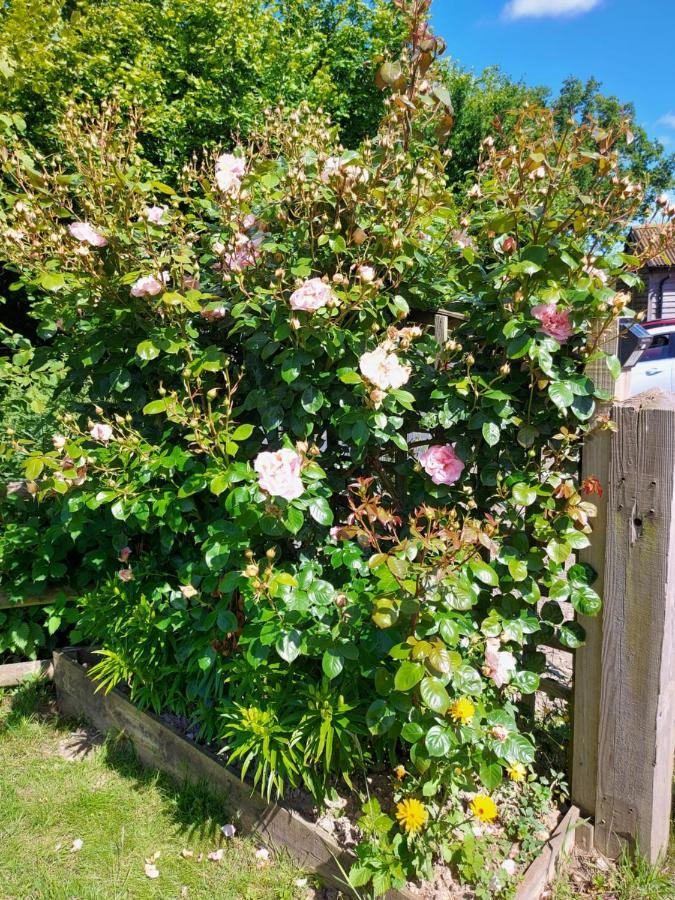 Wadhurst Hopgarden Glamping Luxury Shepherds Huts מראה חיצוני תמונה
