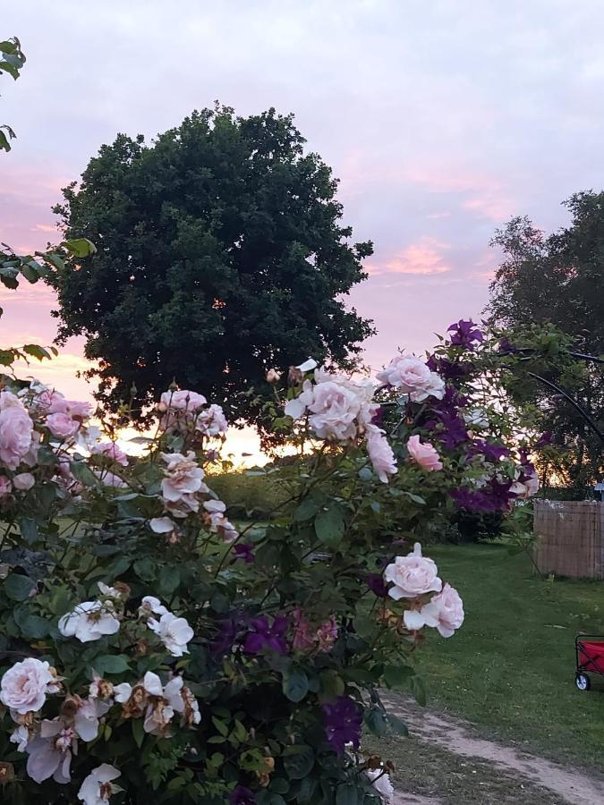 Wadhurst Hopgarden Glamping Luxury Shepherds Huts מראה חיצוני תמונה