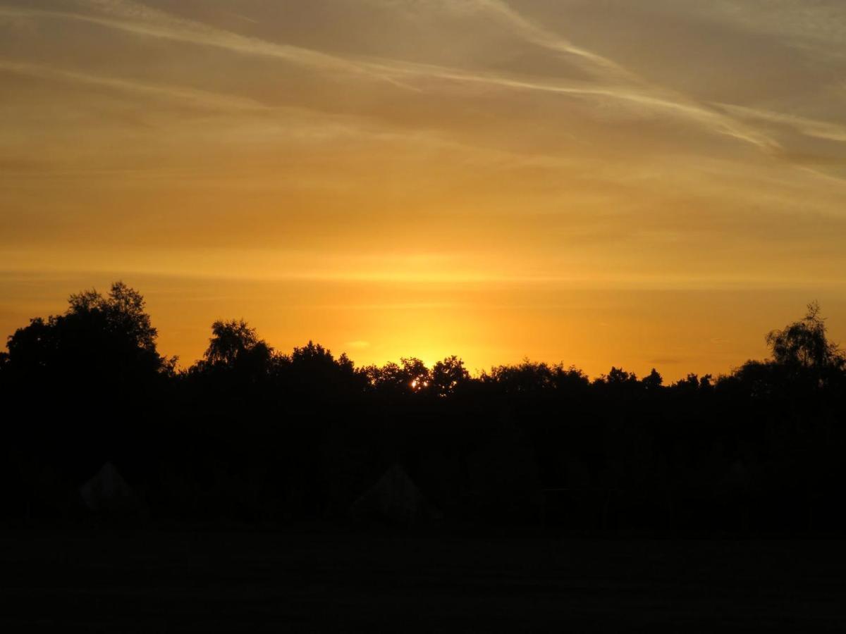 Wadhurst Hopgarden Glamping Luxury Shepherds Huts מראה חיצוני תמונה